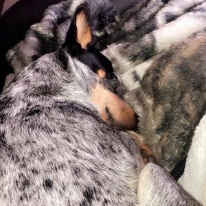 Meet your Posher, Marissa